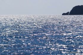 IMG_6306.JPG